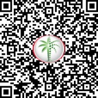 Binghatti Starlight QR Code