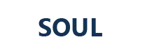 Soul by Vision