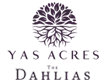 The Dahlias Yas Acres